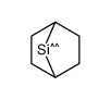 7-Silanorbornane Structure