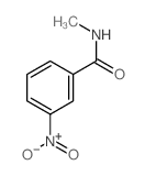 Benzamide,N-methyl-3-nitro- picture