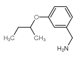 N-(CYCLOPROPYLMETHYL)-2,5-DIMETHYLANILINE Structure