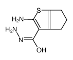 2-Amino-5,6-dihydro-4H-cyclopenta[b]thiophene-3-carbohydrazide结构式