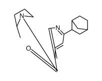 [6-(3-bicyclo[2.2.1]heptanyl)pyridin-3-yl]-(2-methylpyrrolidin-1-yl)methanone结构式