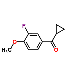 Cyclopropyl(3-fluoro-4-methoxyphenyl)methanone图片