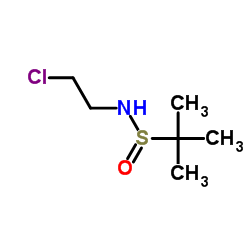 N-(2-Chloroethyl)-2-methyl-2-propanesulfinamide结构式