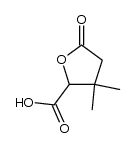 5-Carboxy-4,4-dimethyltetrahydrofuran-2-one Structure