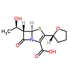 Faropenem sodium hemipentahydrate Structure