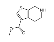 4,5,6,7-四氢噻吩并[2,3-c]吡啶-3-羧酸甲酯图片
