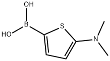 5-(Dimethylamino)thiophene-2-boronic acid结构式