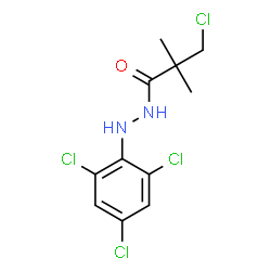 3-CHLORO-2,2-DIMETHYL-N'-(2,4,6-TRICHLOROPHENYL)PROPANOHYDRAZIDE Structure