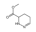 3-Pyridazinecarboxylicacid,2,3,4,5-tetrahydro-,methylester(9CI)结构式
