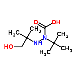 Hydrazinecarboxylic acid, 2-(2-hydroxy-1,1-dimethylethyl)-, 1,1-dimethylethyl结构式