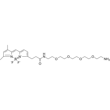 BDP FL-PEG4-amine TFA structure