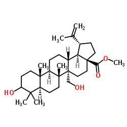 Methyl (3α)-3,27-dihydroxylup-20(29)-en-28-oate picture