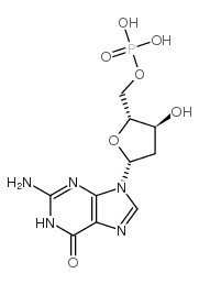 2'-deoxyguanosine 5'-monophosphate结构式