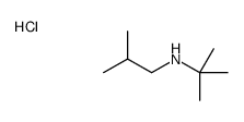 N-tert-butyl-2-methylpropan-1-amine,hydrochloride结构式