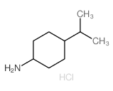 4-propan-2-ylcyclohexan-1-amine结构式