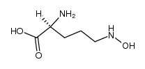 delta-N-hydroxyornithine Structure