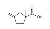 3-methylene-1-methylcyclopentane carboxylic acid Structure