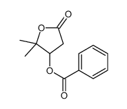 (2,2-dimethyl-5-oxooxolan-3-yl) benzoate Structure