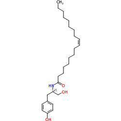 OMDM-1 Structure