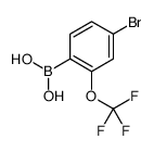 4-Bromo-2-(trifluoromethoxy)phenylboronic acid结构式