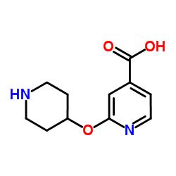 2-(4-Piperidinyloxy)isonicotinic acid Structure