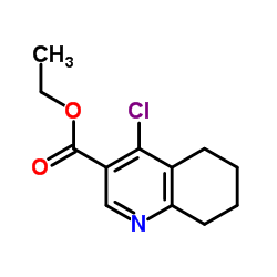 ethyl 4-chloro-5,6,7,8-tetrahydroquinoline-3-carboxylate picture