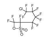 3-(4-chloro-1,1,2,2,3,3,4,4-octafluorobutyl)-3,4,4-trifluorooxathietane 2,2-dioxide结构式