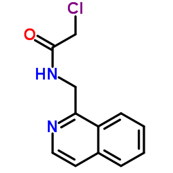 2-Chloro-N-(1-isoquinolinylmethyl)acetamide Structure