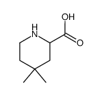 4,4-dimethyl pipecolic acid结构式