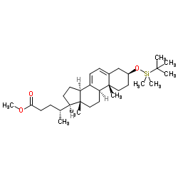 (3β)-3-[(tert-Butyldimethylsilyl)oxy]-chola-5,7-dien-24-oic Acid Methyl Ester结构式