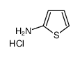 THIOPHEN-2-AMINE HYDROCHLORIDE picture
