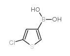 5-CHLOROTHIOPHEN-3-YL-3-BORONIC ACID结构式