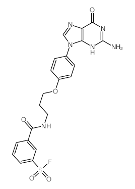 Benzenesulfonylfluoride,3-[[[3-[4-(2-amino-1,6-dihydro-6-oxo-9H-purin-9-yl)phenoxy]propyl]amino]carbonyl]- Structure