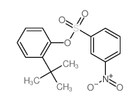 Benzenesulfonic acid,3-nitro-, 2-(1,1-dimethylethyl)phenyl ester结构式
