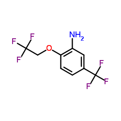 2-(2,2,2-Trifluoroethoxy)-5-(trifluoromethyl)aniline picture