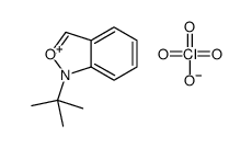 1-tert-butyl-2,1-benzoxazol-1-ium,perchlorate结构式