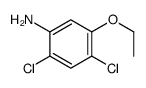 Benzenamine, 2,4-dichloro-5-ethoxy- (9CI)结构式