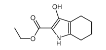 3-羟基-4,5,6,7-四氢-1H-吲哚-2-羧酸乙酯结构式