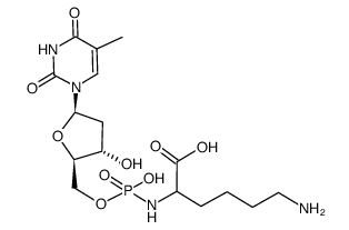 deoxythymidylyl-(5'-->Nα)-lysine Structure