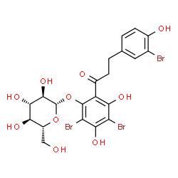 1,3,3'-tribromophlorhizin picture