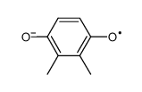 2,3-dimethyl-1,4-benzoquinone radical anion Structure
