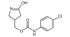 (5-oxopyrrolidin-3-yl)methyl N-(4-chlorophenyl)carbamate Structure