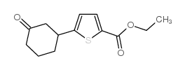 ethyl 5-(3-oxocyclohexyl)thiophene-2-carboxylate structure