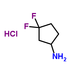 3,3-二氟环戊胺盐酸盐结构式