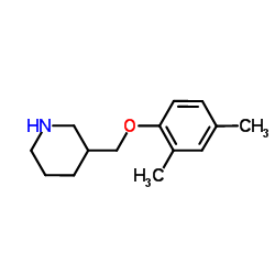 3-[(2,4-Dimethylphenoxy)methyl]piperidine Structure