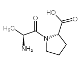 L-丙氨酰-L-脯氨酸图片