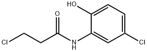 3-Chloro-N-(5-chloro-2-hydroxyphenyl)propanamide结构式