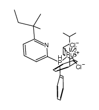 [RuCl2(η3:η3-p-cymene){κ1-(P)-PPh2(py-6-tert-amyl)}]结构式