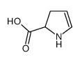 2,3-dihydro-1H-pyrrole-2-carboxylic acid结构式