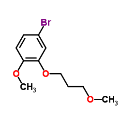 4-溴-1-甲氧基-2-(3-甲氧基丙氧基)苯图片